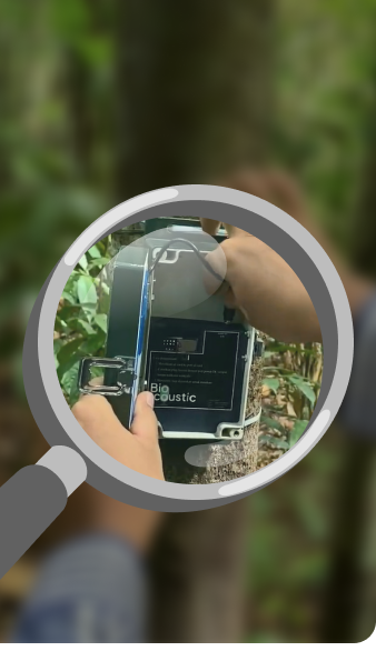 Acoustic Monitoring Device